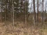 Dix soldats ukrainiens se fondent dans le paysage: arriverez-vous à les démasquer?