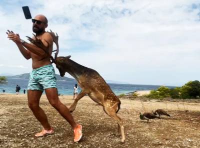 Un touriste mexicain souffre de côtes cassées après avoir tenté de prendre en photo un cerf en Grèce
