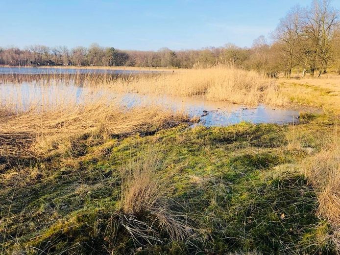 Het dichtgroeiende Uddelermeer.
