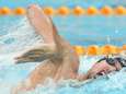 Pieter Timmers en finale du 200m libre à Doha avec le meilleur chrono