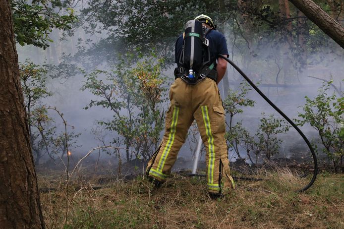 Een brand in een bosgebied aan de Beekse Peeldijk in Bakel was dinsdagmiddag snel onder controle.