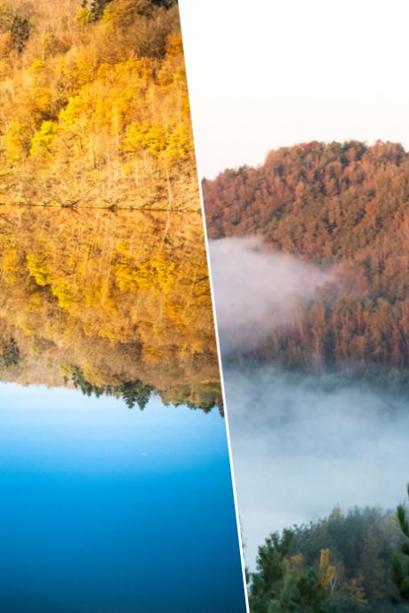 5 balades magiques pour profiter des couleurs de l’automne en Belgique