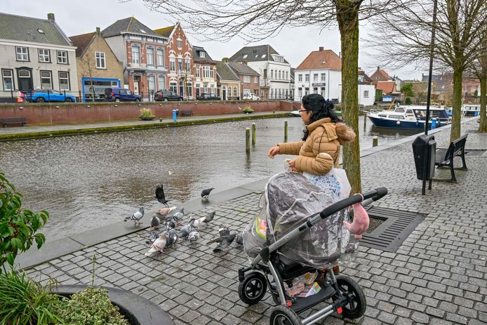 Haven van Oiudenbosch.