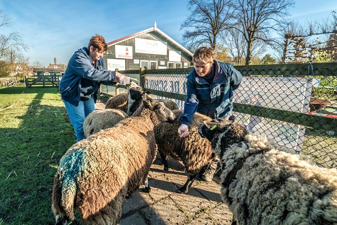 De gemeente kijkt naar financiële steun voor de Stichting Kinderboerderij en Waterspeeltuin Tanthof.