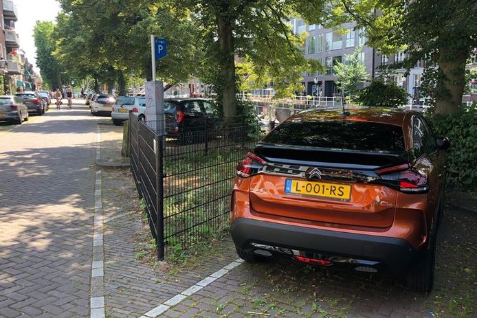 Parkeren onder bomen betekent extra risico op hars en vogelpoep.