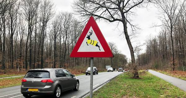 Nieuwe campagne moet aanrijding met wild voorkomen | De Peel - Eindhovens Dagblad
