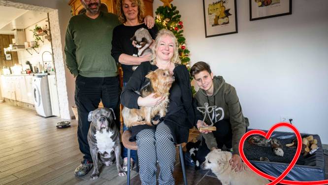 Kerstengel Linda uit Almelo vangt afgedankte huisdieren op: ‘Wil je mijn kale Wappie zien?’