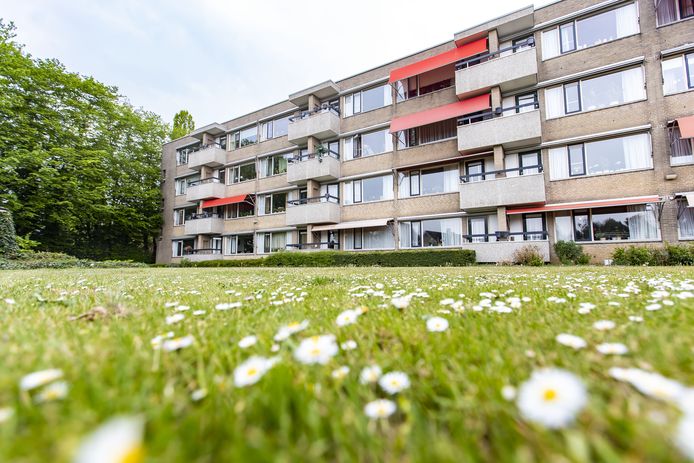 Het Saalmerink in Haaksbergen maakt in 2023 plaats voor nieuwbouw. En dat is nog maar één van de veranderingen die Livio de komende jaren doorvoert.