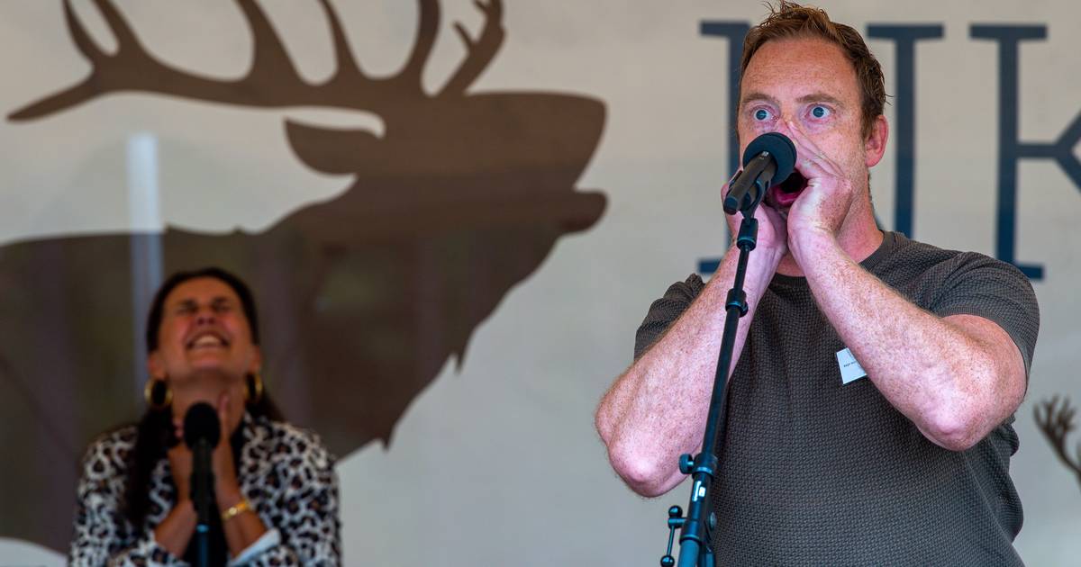 Nadoen hitsige herten bittere ernst op de Veluwe: 'Ik denk alleen maar: 'Nog een keer!' - Tubantia