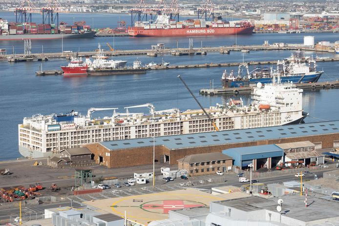 Het transportschip met 19.000 runderen aan boord in de haven van Kaapstad op 19 februari 2024.