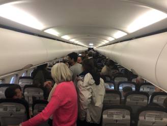 “Nee! Is die zot?” Beelden tonen opstand van passagiers op vlucht van Brussels Airlines naar Tenerife na beslissing om na noodlanding terug naar huis te vliegen