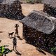 Madagaskar zucht onder miljarden sprinkhanen