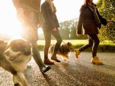 Numansdorpers maken zich hard voor behoud van wandelpad naar bos: ‘Juist nu is dat pad belangrijk’