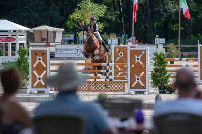 Ook paardenwereld verzet zich tegen heropening vliegbasis De Peel