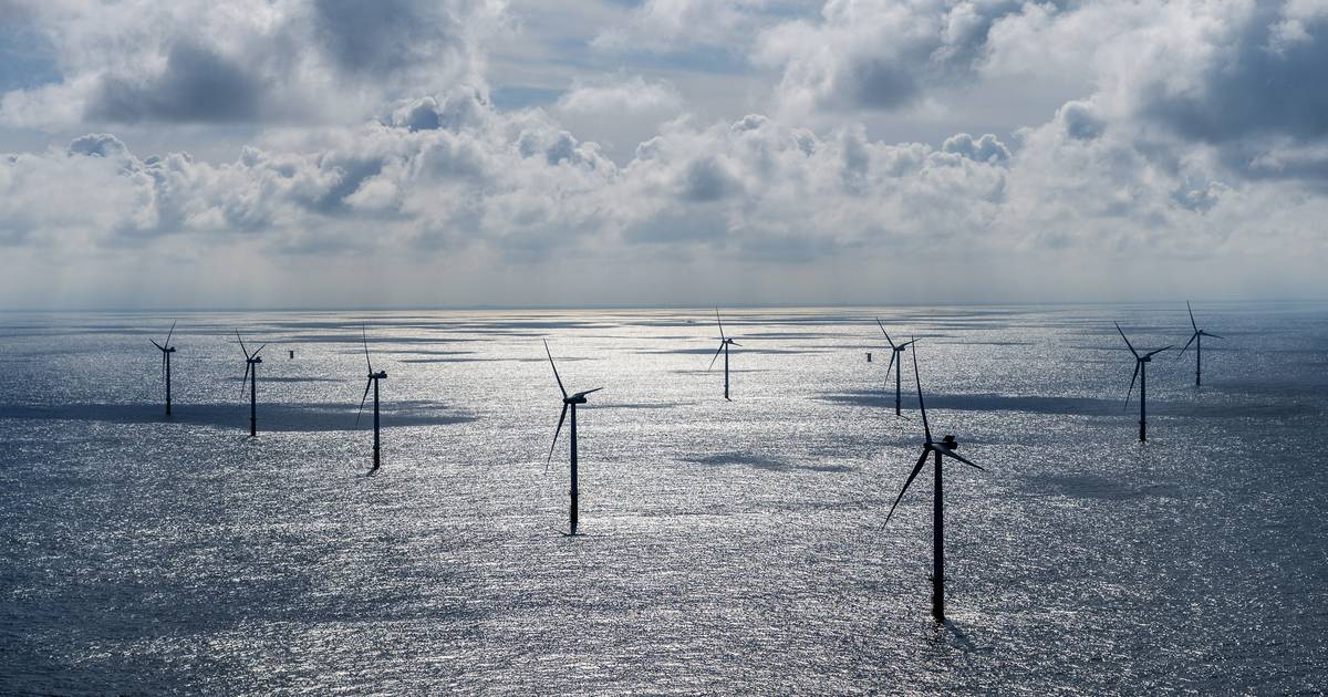 “I parchi eolici disturbano la crescita del plancton e quindi la catena alimentare nel Mare del Nord” |  interno