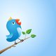 'De twitterende ambtenaar zit de politicus in de weg'