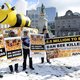 Greenpeace: "Verbod op 7 pesticiden nodig om bijenpopulaties te redden"