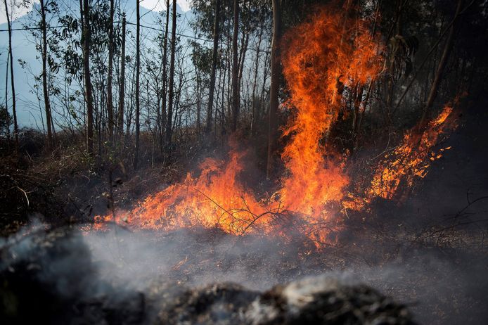 Agenzia per la protezione ambientale