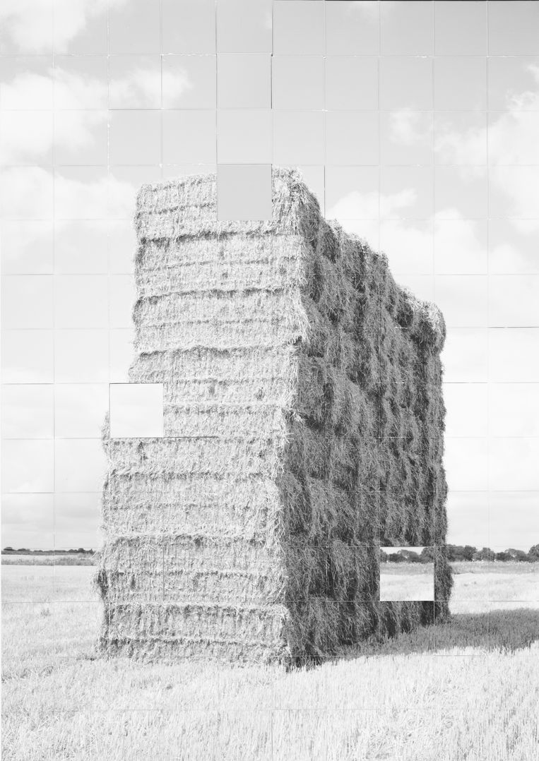 Rechthoekig Beeld Emile Gostelie