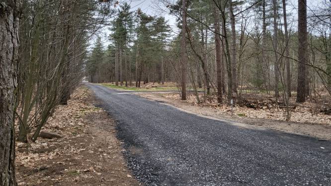 Helmond wil meer groen, maar in het bos worden paden verhard