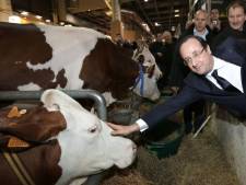 Hollande comme un poisson dans l'eau au Salon de l'Agriculture
