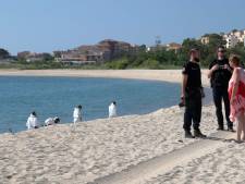 Réouverture des plages en Corse après la pollution aux hydrocarbures