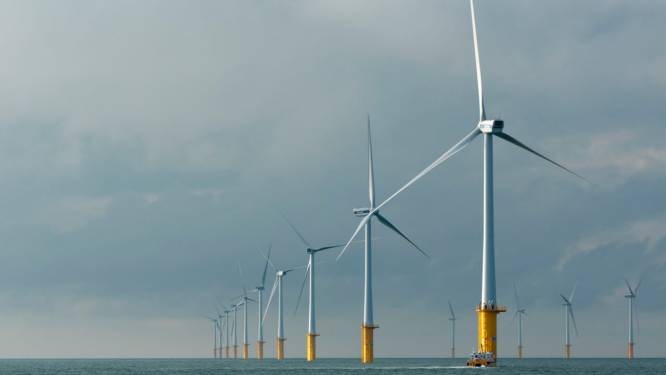 Colruyt verkoopt windmolens op zee voor 1,5 miljard euro aan Japanners 