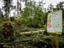 Toch wandelaars in bossen Leersum, Staatsbosbeheer waarschuwt: ‘Blijf weg, het is levensgevaarlijk!’