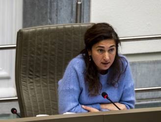 Hoe de beslissing van Zuhal Demir (N-VA) ook de Vlaamse regering op haar kop zette