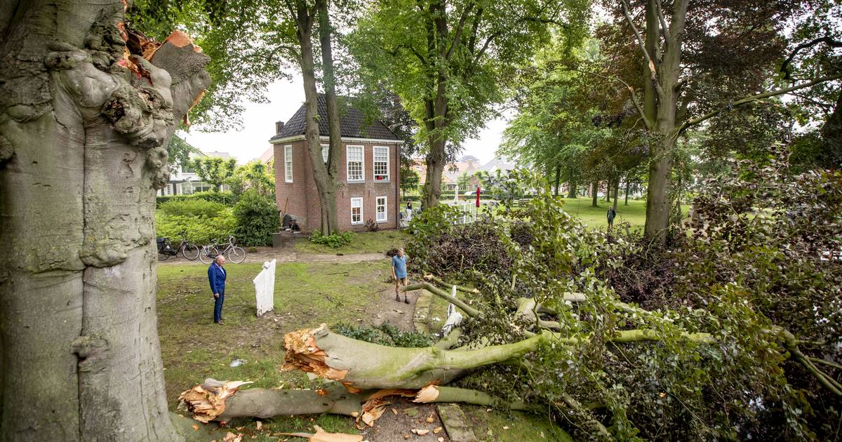 Onweer voor ravage in Engels’ Tuin in Ootmarsum Dinkelland