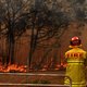 Premier Australië stelt onderzoek in naar afhandeling bosbranden