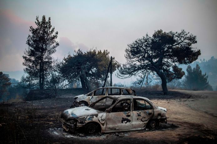 Le feu, qui s'est déclaré en bord de route mardi à 03H00 du matin (00H00 GMT), s'est rapidement propagé, sous l'effet des rafales de vent, à la végétation très dense et sèche du centre de l'île, une pinède classée pour sa faune et sa flore sauvage.