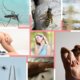 Terrasje? Daar zijn de insecten. Wat werkt het best tegen muggen, wespen en andere beestjes?