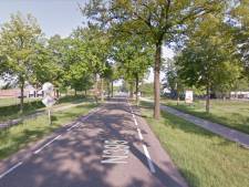 Extra geld voor natuur in Hilvarenbeek, tegenstanders staken de strijd tegen bomenkap voor N395