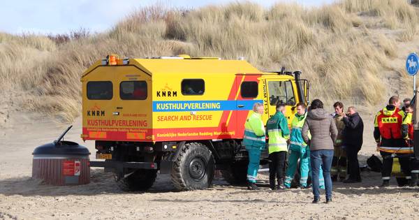 Tij verrast wandelaars Renesse: Belgische (45) en hond overleden - BN DeStem