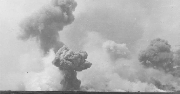 Rotterdamse Wolf (21) wint Project Rembrandt met schilderij over zijn  coronagevoel | Rotterdam | AD.nl