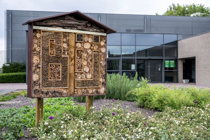 Panter functie Dronken worden Bijen overwinteren weldra in het bijenhotel op begraafplaats Driehoek in  'bijenvriendelijk district' Ekeren | Ekeren | hln.be