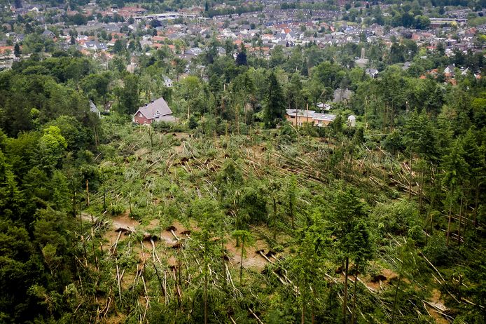 Honderden omgewaaide bomen in natuurgebied Boswachterij Leersum, een dag na de hevige storm. Meteorologen leggen uit wat er precies gebeurd is.