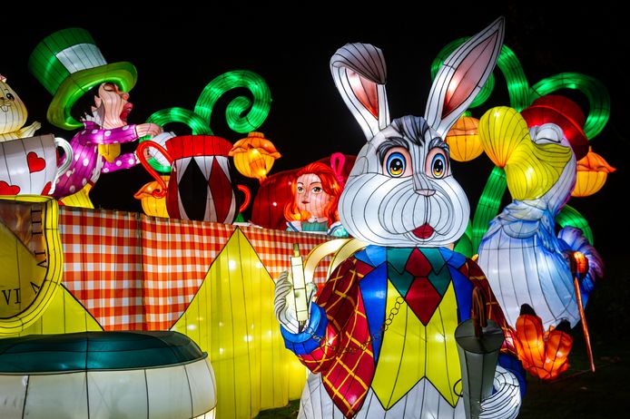 Nog tot 16 januari kunnen bezoekers genieten van de lichtshow 'Alice in Wonderland' in de zoo van Antwerpen.