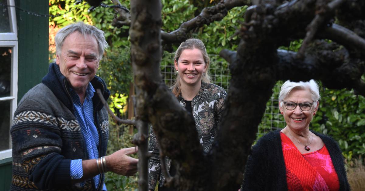 Verstopte muziekinstrumenten onder het hooi vandaan gehaald nadat de Duitsers waren verdwenen