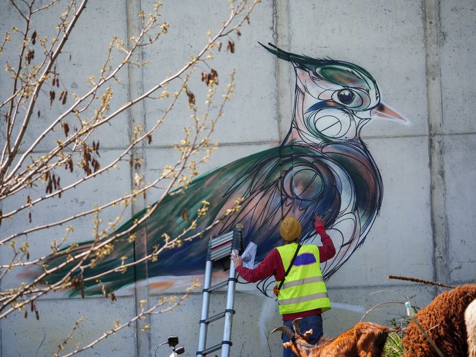 Dzia maakte eerder deze kievit in het kader van Animalinas.