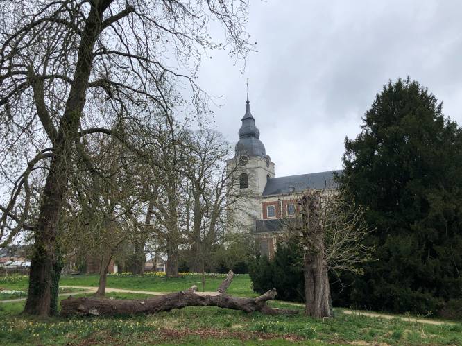 Fotowedstrijd “Het Park van Hoegaarden gedurende de vier seizoenen”