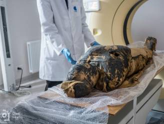 Poolse wetenschappers ontdekken eerste zwangere mummie