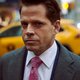 Trumps ex-woordvoerder Anthony Scaramucci: ‘Hij blaast het hele systeem op’