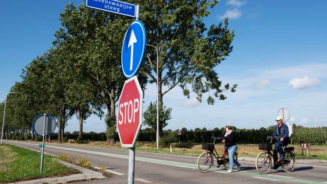 Snelheid N320 bij Ravenswaaij gaat omlaag