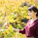 Prinses Mako zoekt haar geluk buiten Japan