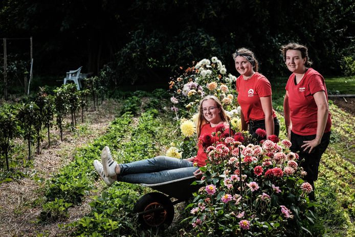 Sandra (in de kruiwagen), Lisa en Alieke in de moestuin van Het Passion in Hummelo.