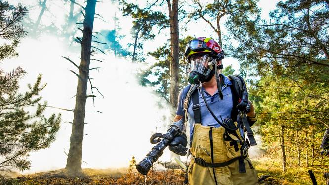 Grote bosbranden in Brabant: dit is waarom we een NL-Alert krijgen