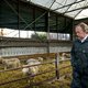 Bleker: geen buitenlandse megastallen van Nederlands geld