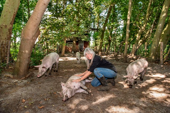 Margarit Gerrits knuffelt een van haar varkens, die een heerlijk leventje hebben op De Nobele Hoeve in Strijbeek.